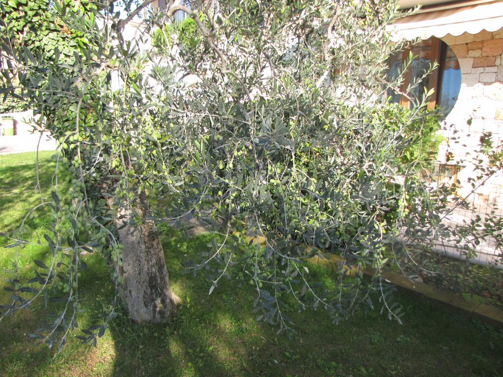 برنزوني سول جاردا Residence Villa Margherita المظهر الخارجي الصورة